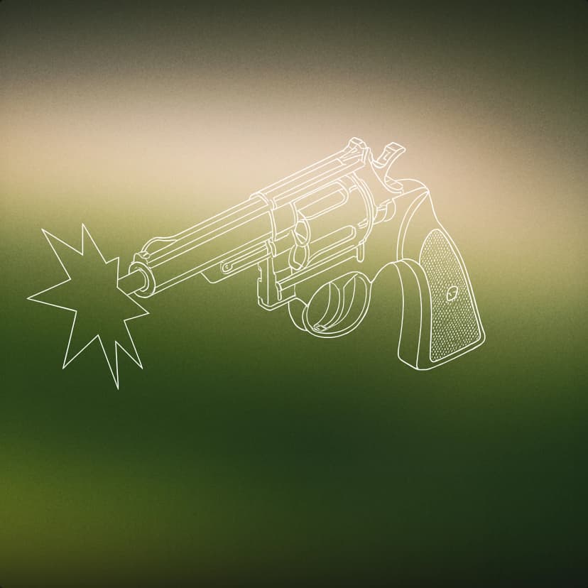 Gun