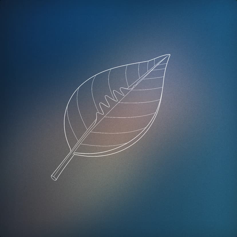 Leaf