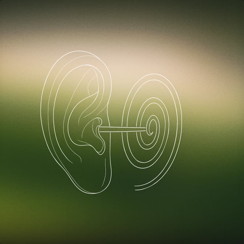 Tinnitus