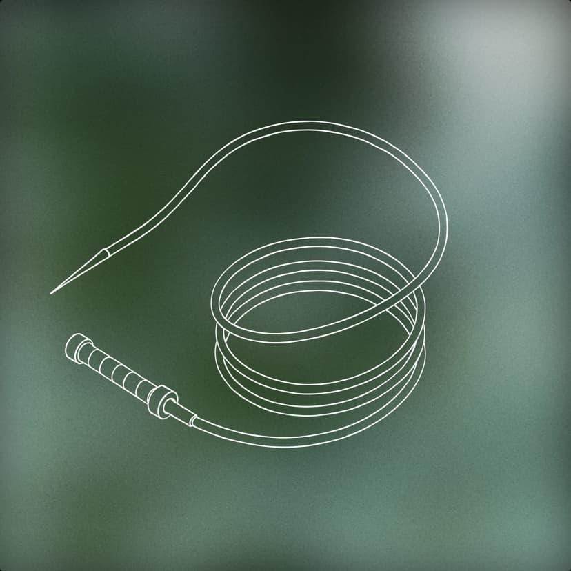 Bullwhip