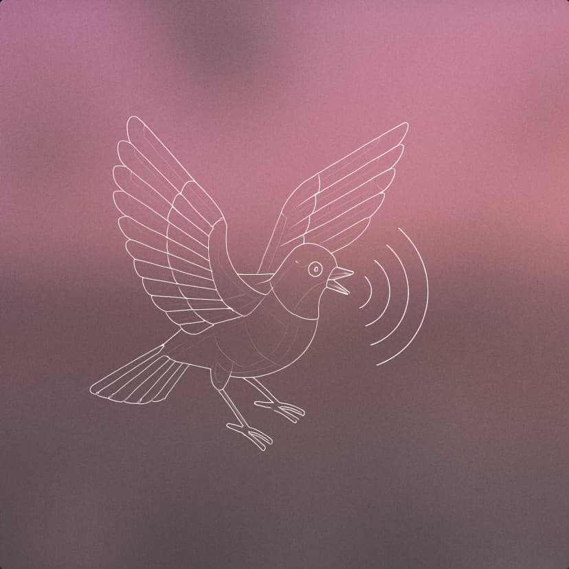 Flying
