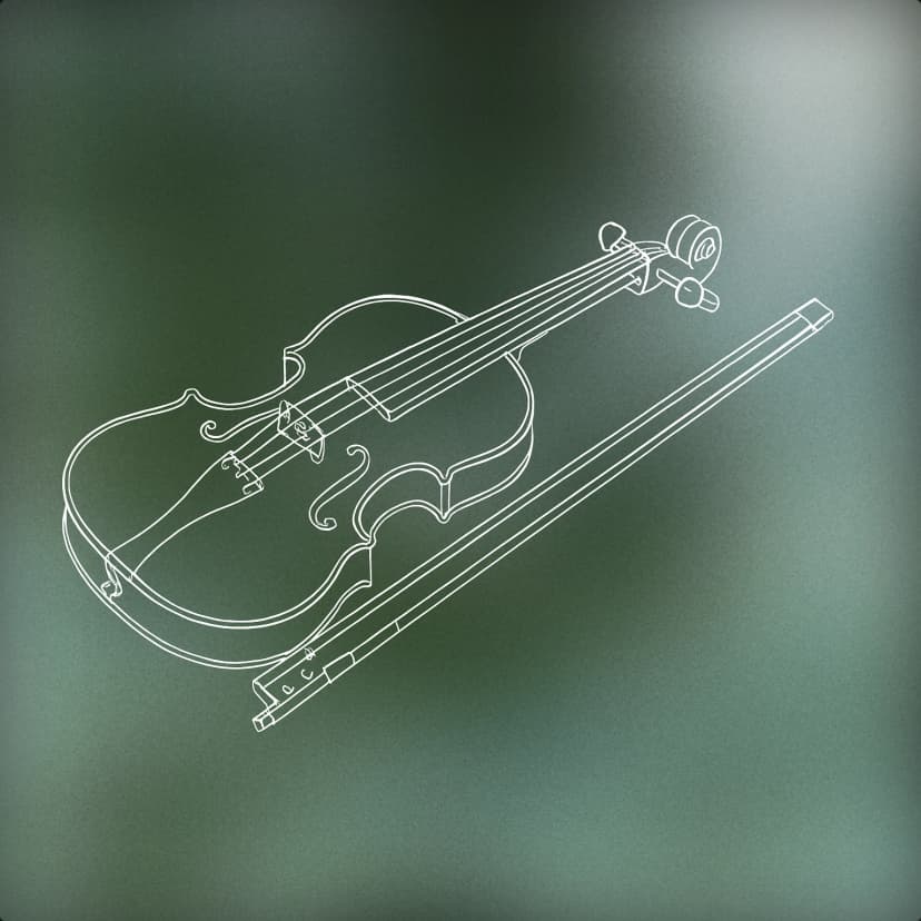 Violin