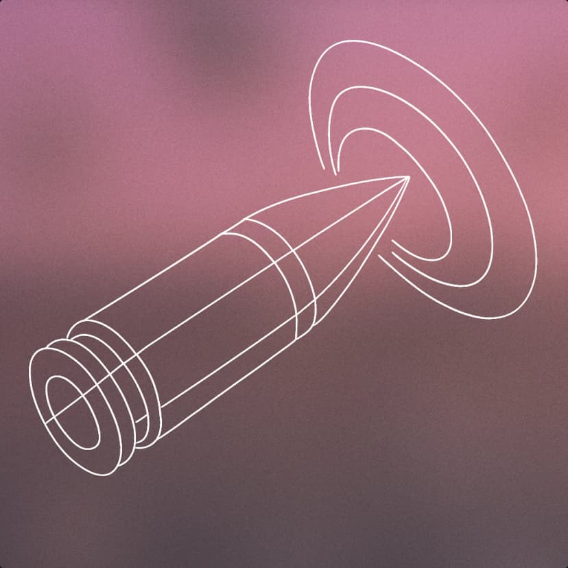 Bullet
