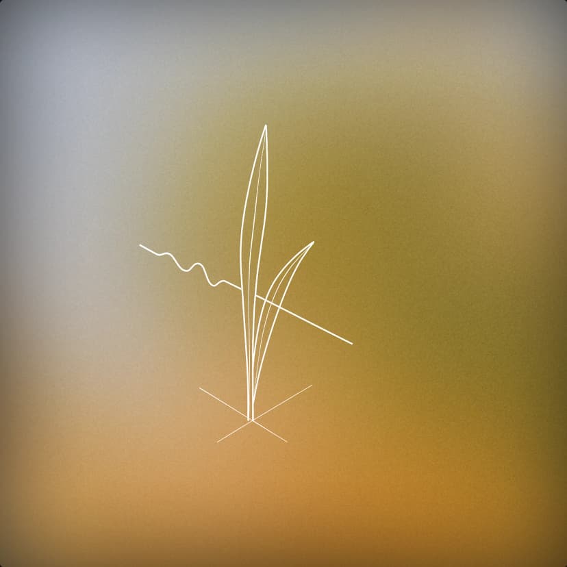 Grass