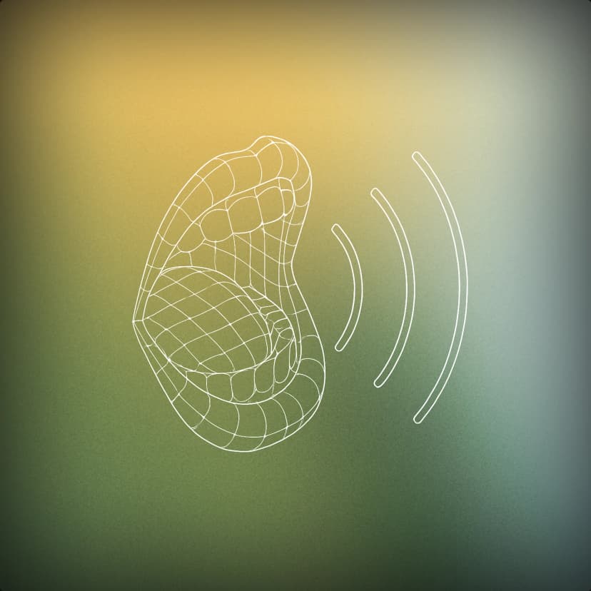 Voice