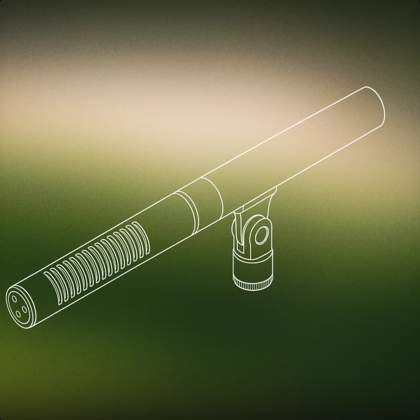 Shotgun