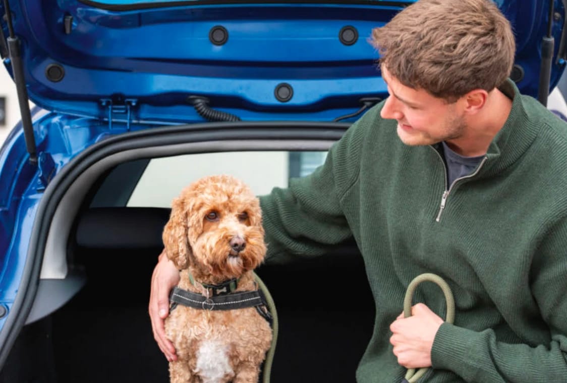 Man petting a dog in the open trunk of a blue car.