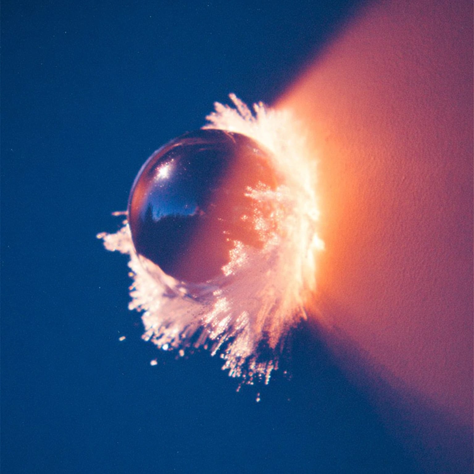 impacts
