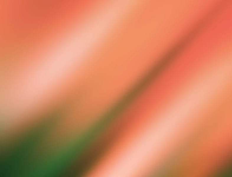 Abstract blurred gradient in warm coral, orange, green, and brown tones.