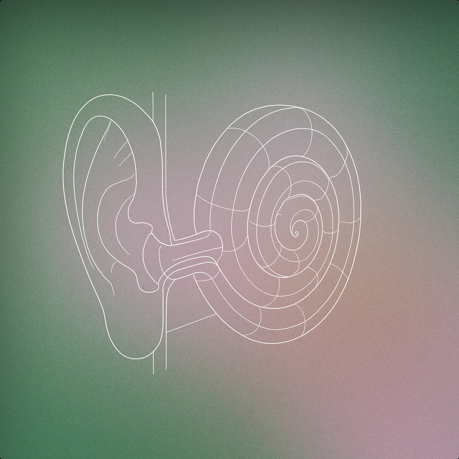 Cover image for exaggerated voice library collection