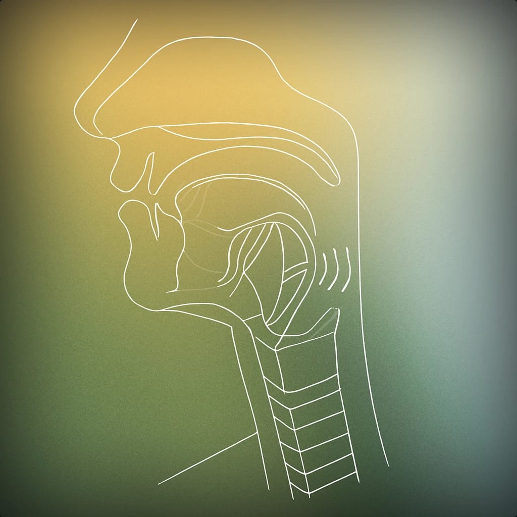 Cover image for guttural voice library collection