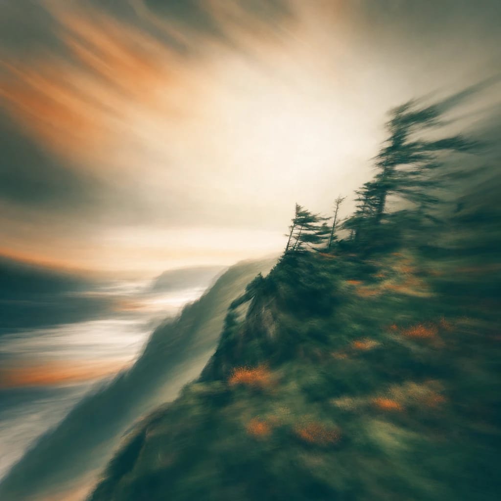 Stylized scene featuring a wind-swept cliff edge with hardy evergreens gripping the rocky soil, under a dramatic cloudy sky, rendered in deep forest green, off-white, and warm orange