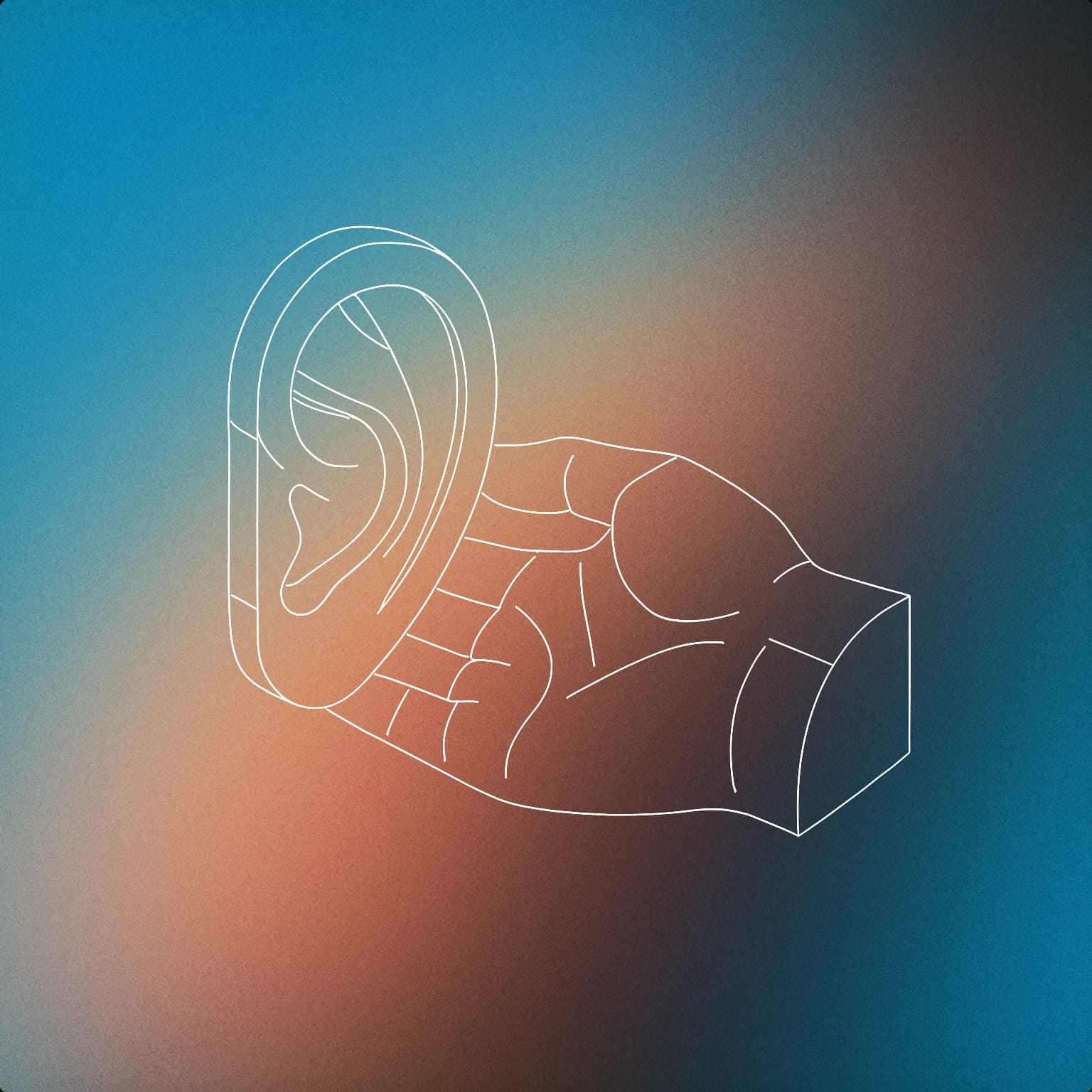 Cover image for seeker voice library collection