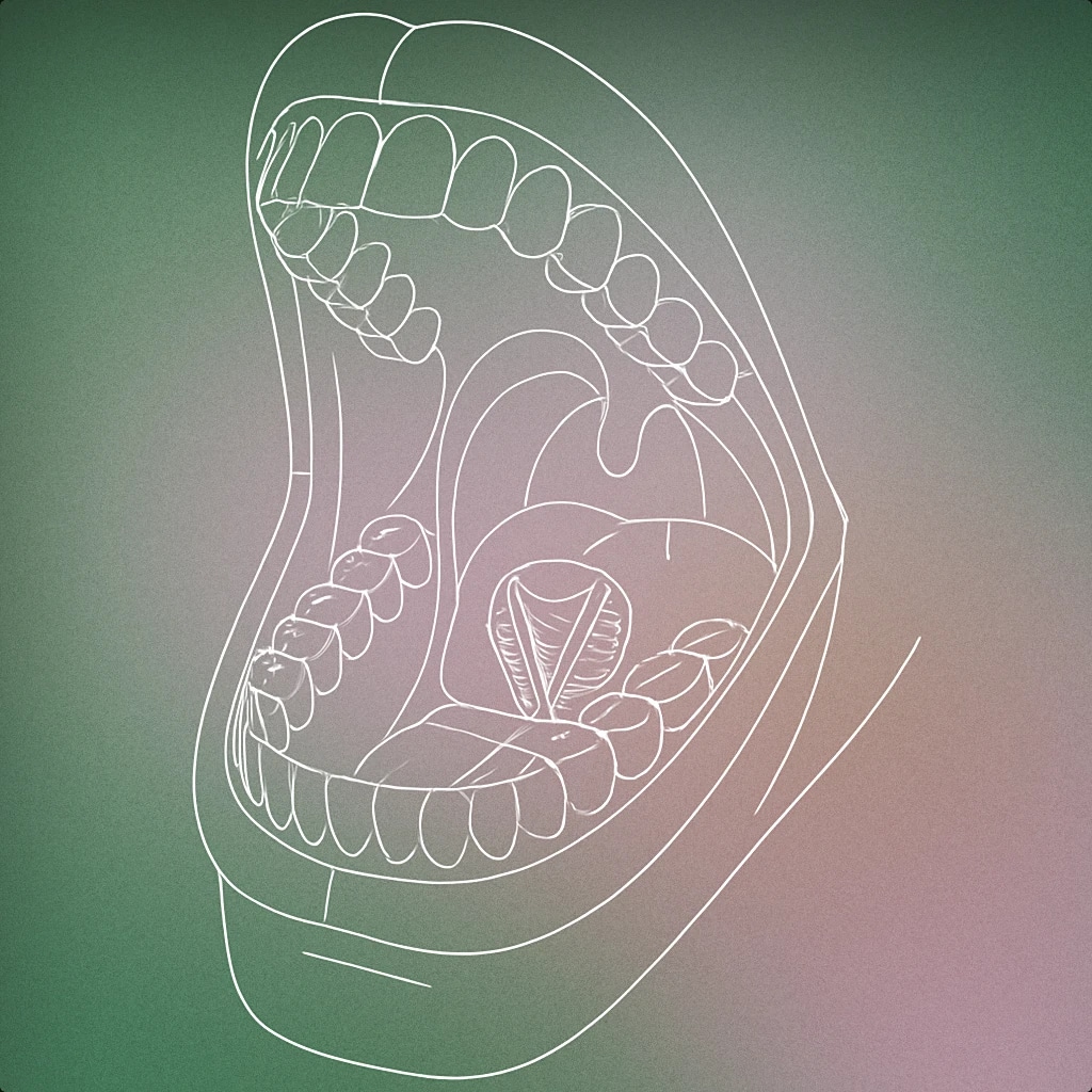 Cover of an open human mouth with exaggeratedly wide jaws and visible vocal cords for Loud Scream sound effects