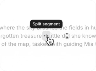 Split & Merge Segments