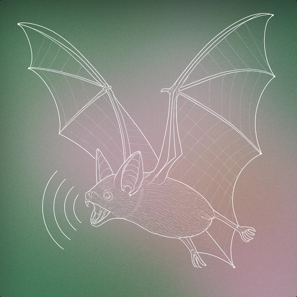 Cover of A bat in mid-flight with its wings spread wide, mouth open as if emitting echolocation sound waves for Bat sound effects