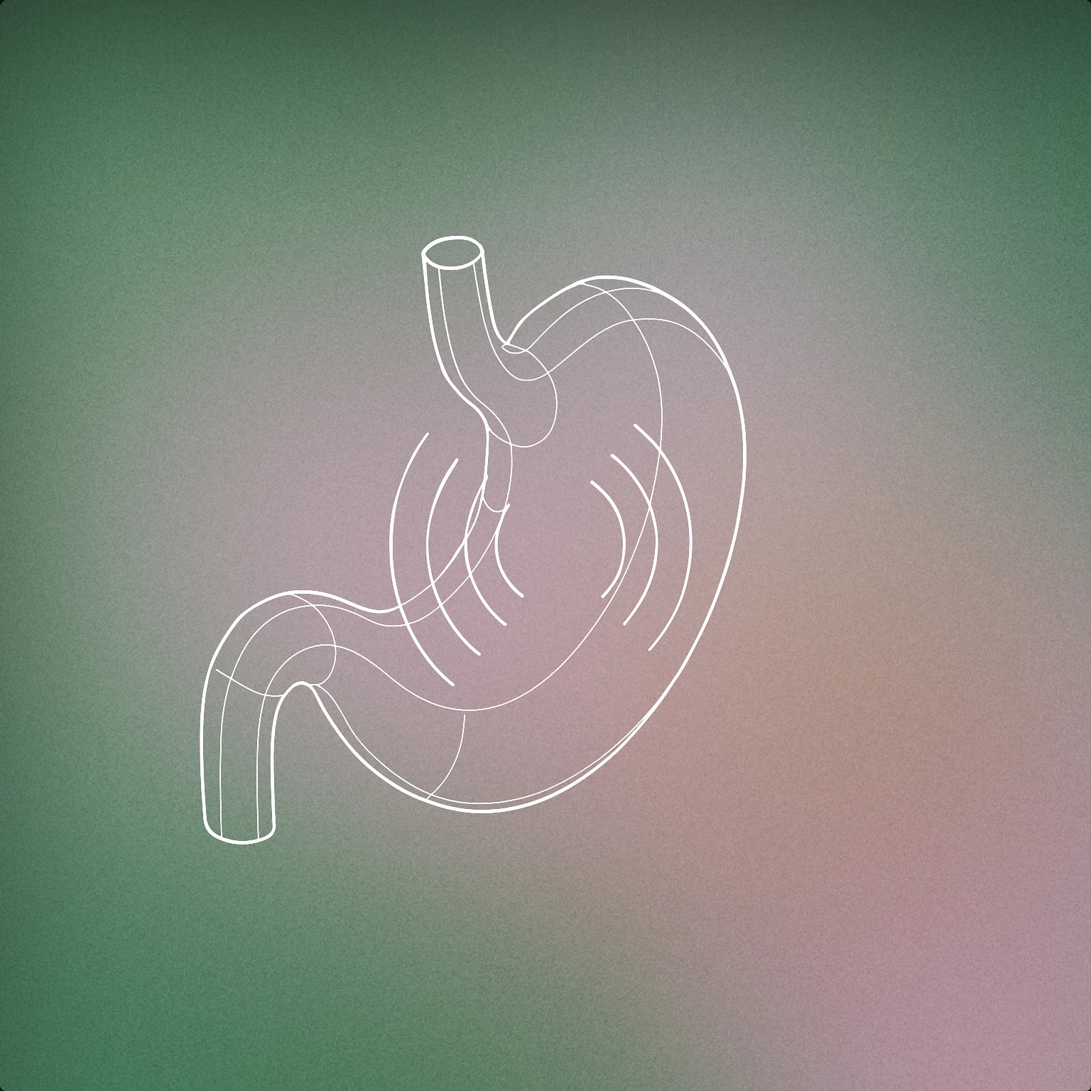 Cover of A stylized, simplified stomach shape with gentle curved lines emanating from its center to represent vibration or movement for Stomach Growl sound effects