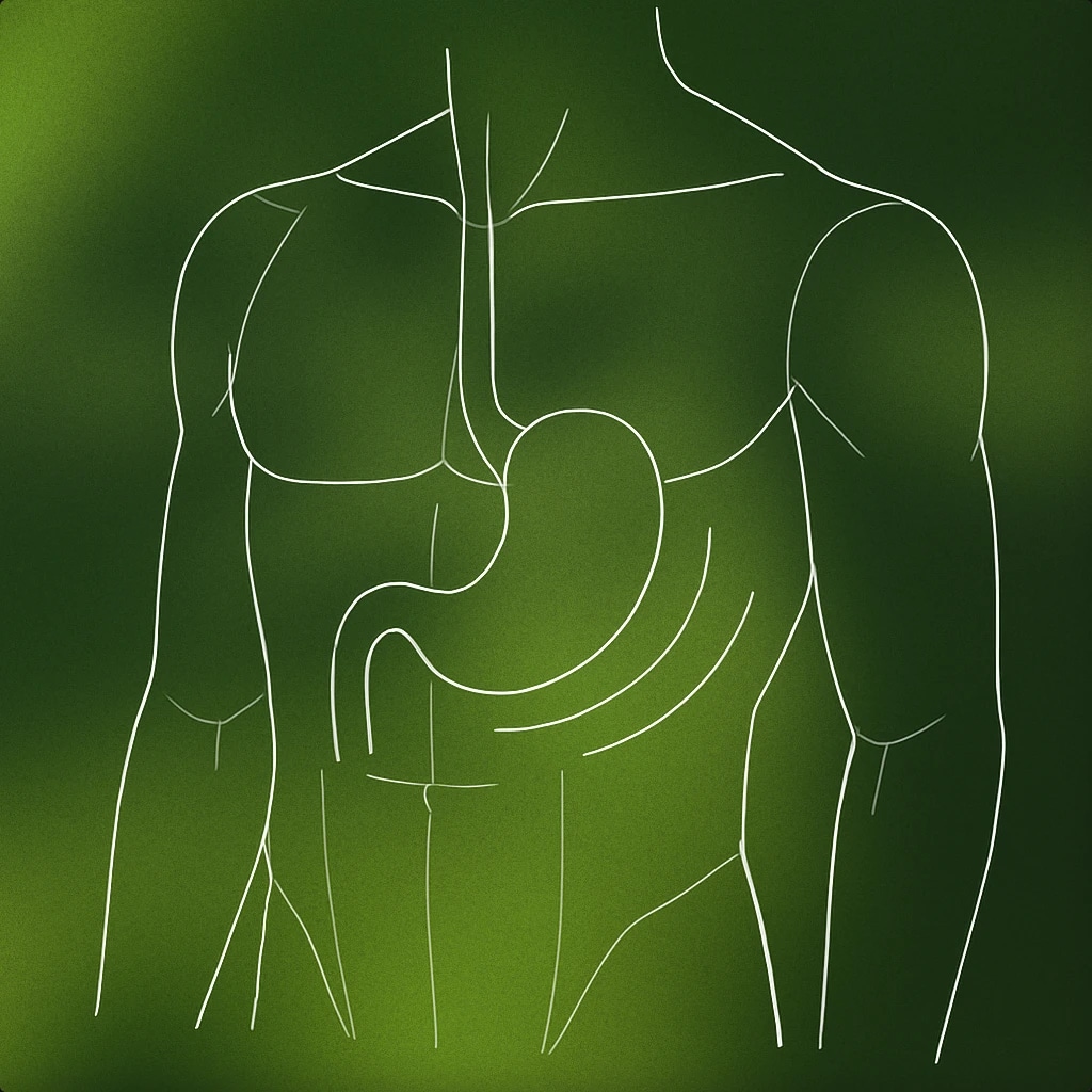 Cover of stylized human torso with a visible, simplified stomach shape and subtle curved lines emanating from it for Tummy Rumbling sound effects