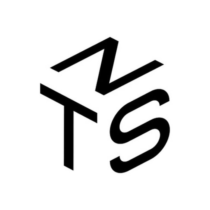 Stylized black and white logo with the letters "N," "T," and "S" arranged in a three-dimensional, abstract design.