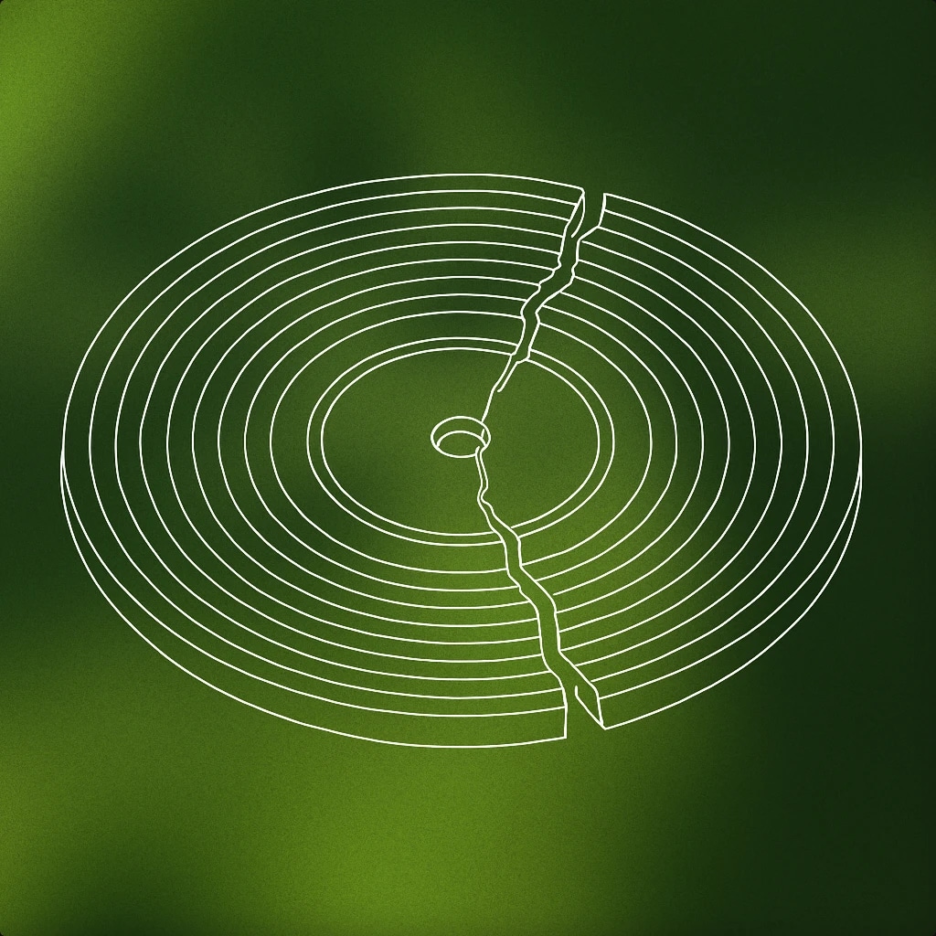 Cover of A broken vinyl record with a visible crack through its center for Wrong sound effects