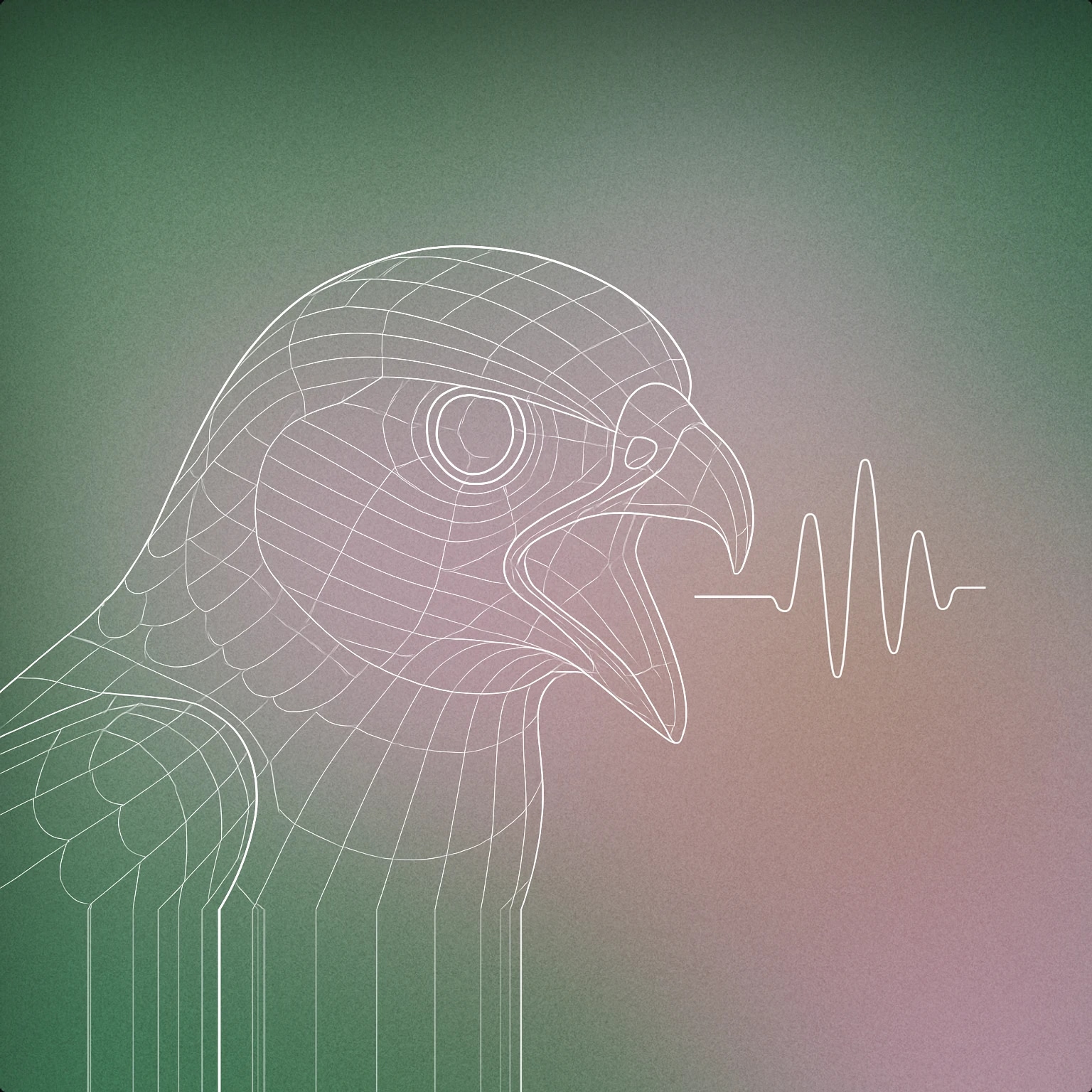 Cover of A stylized falcon's head with an open beak and a simplified soundwave subtly emerging from the beak for Falcon sound effects