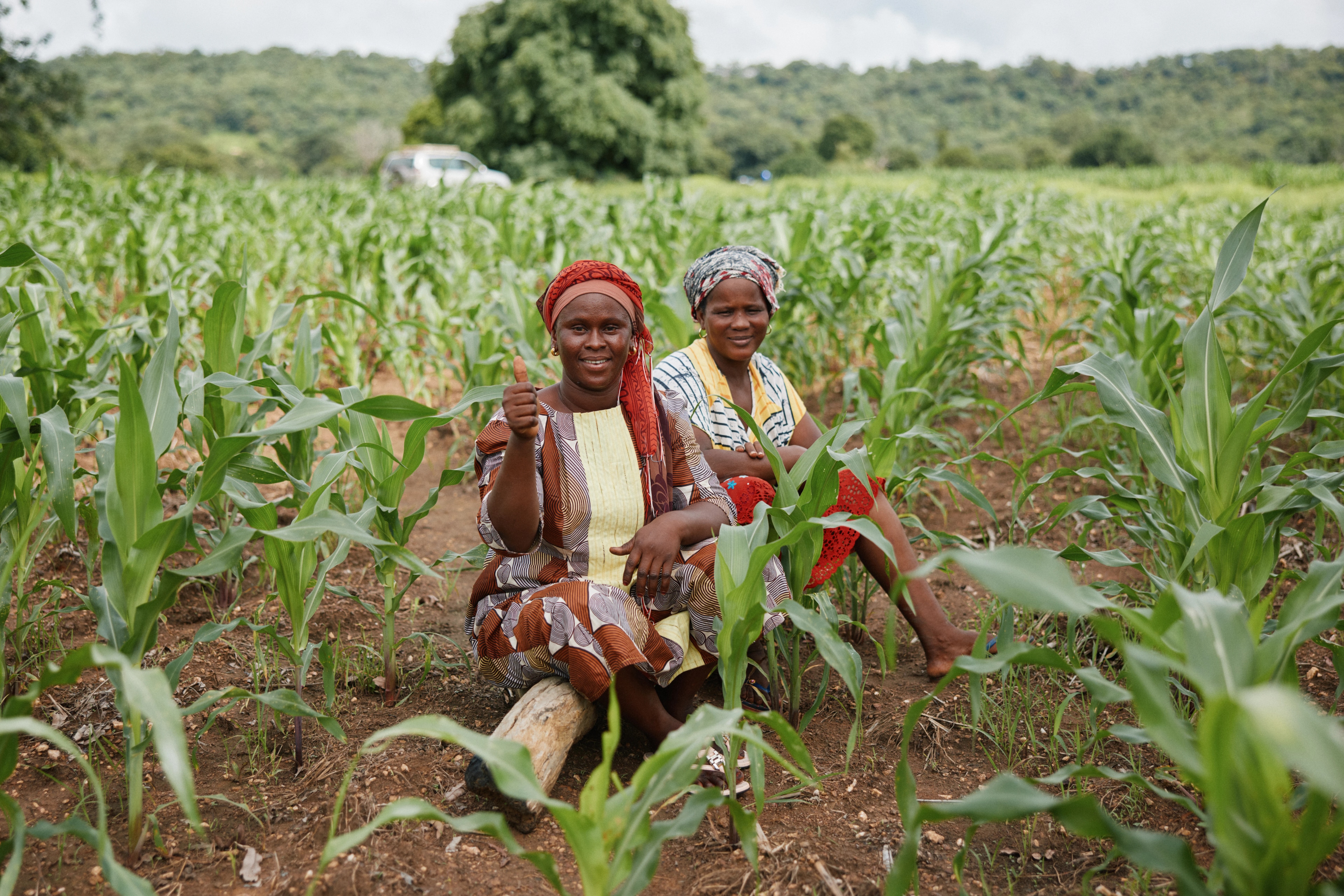 Two women sitting in a field