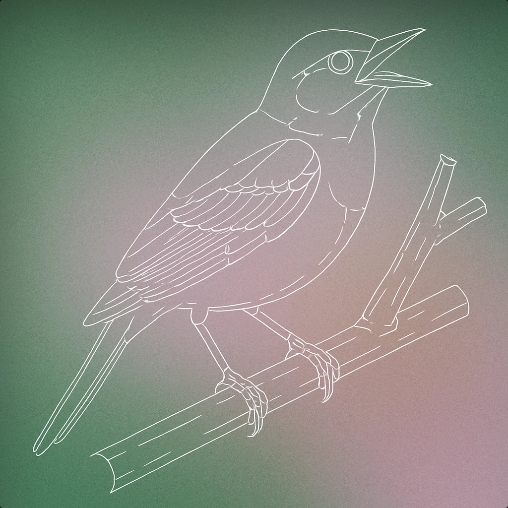Cover of a perched songbird with an open beak on a simple tree branch for Birds Chirping sound effects