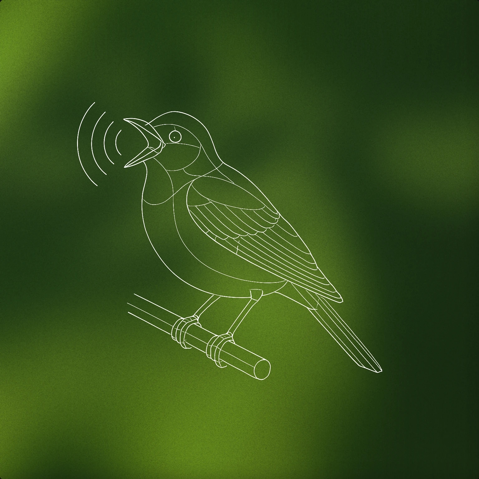 Cover of A perched songbird with an open beak and stylized sound ripple lines emanating from its mouth for Bird sound effects