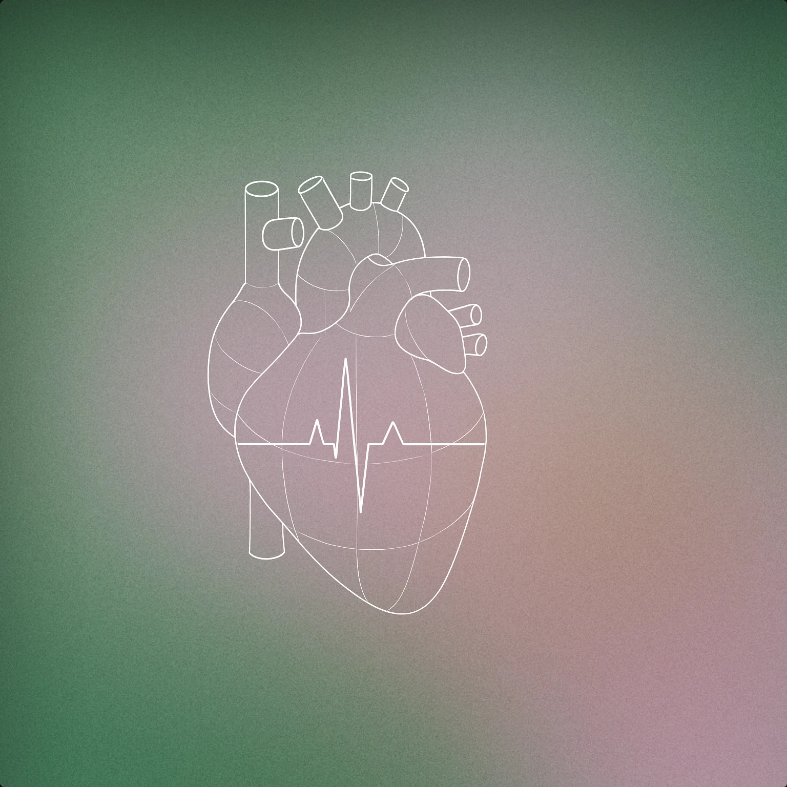 Cover of A stylized anatomical heart with a singular, rhythmic pulse line running through its center for Heart Beat sound effects