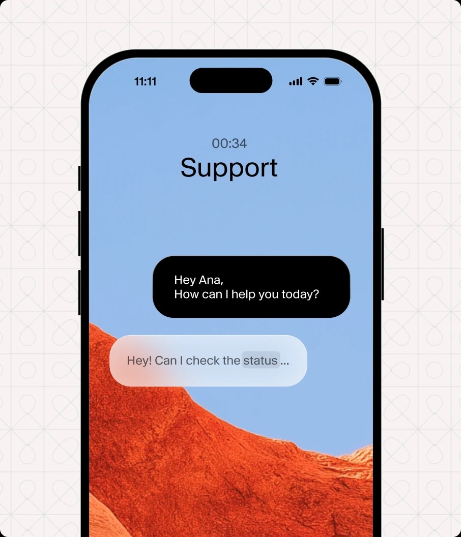 Order Status Conversation