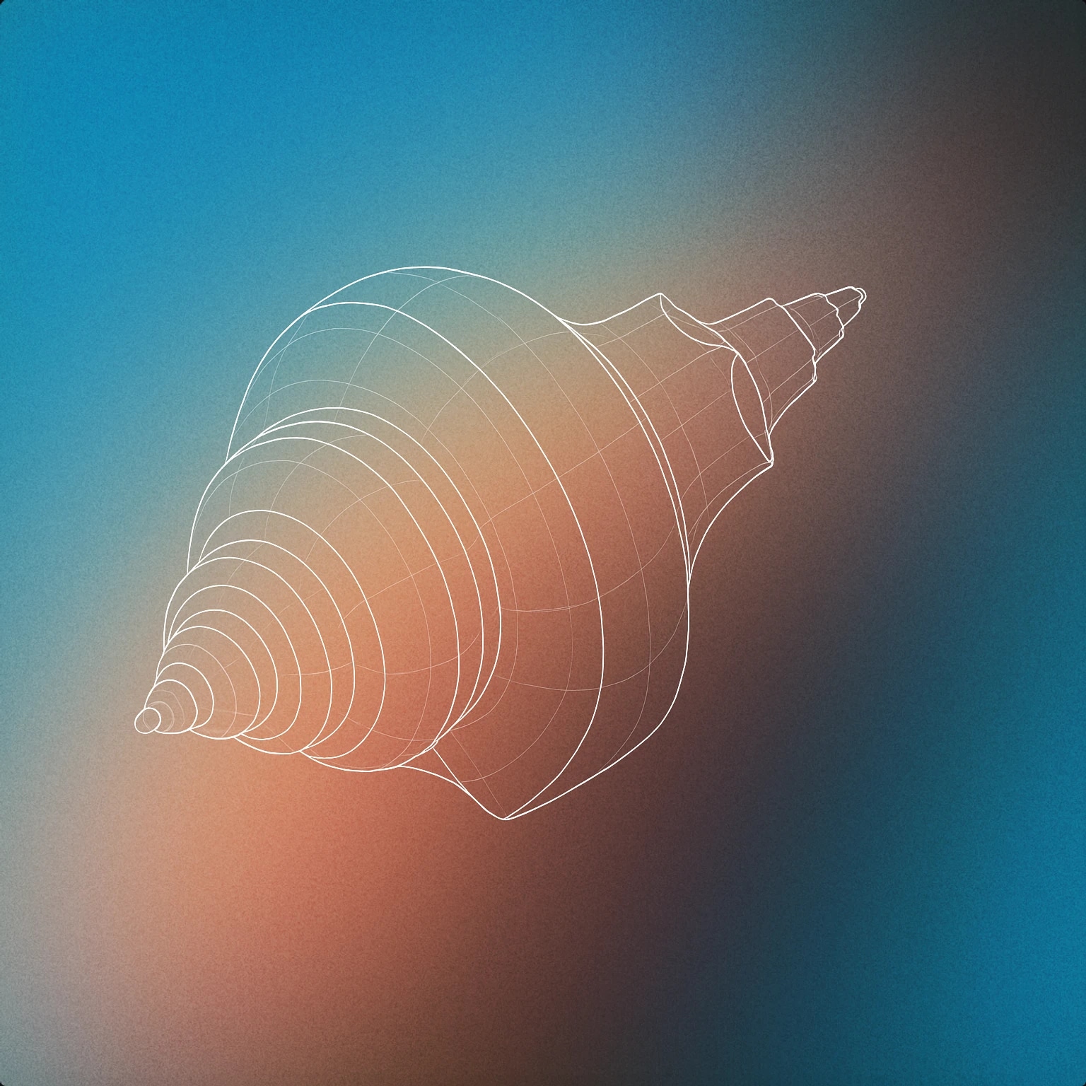 Cover of conch shell with a visible spiral for Sea sound effects