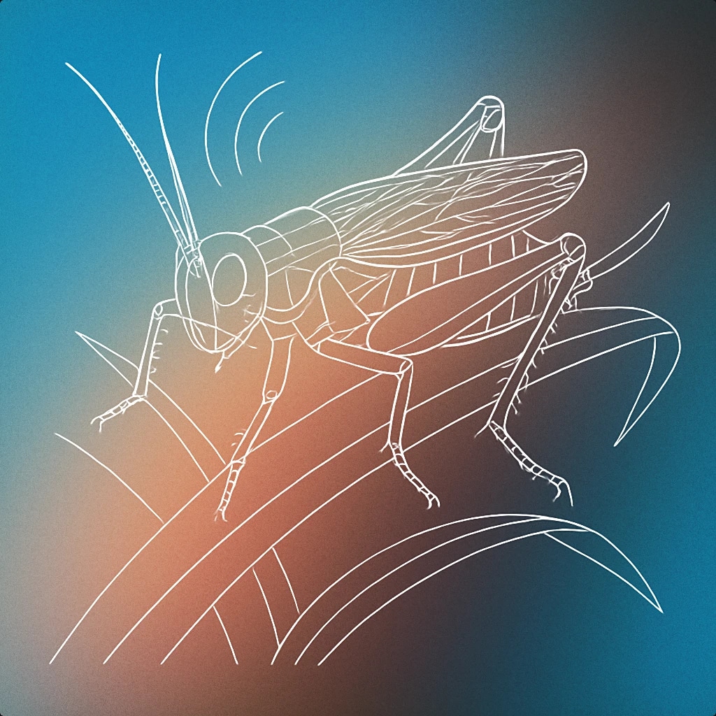 Cover of a single cricket perched on a stylized blade of grass, with subtle sound lines emanating from its wings for Crickets sound effects
