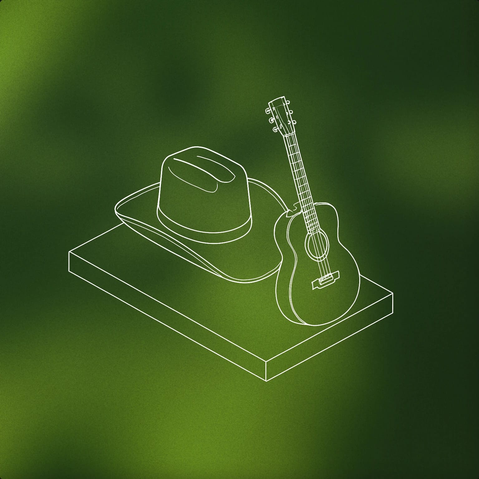 Country music star