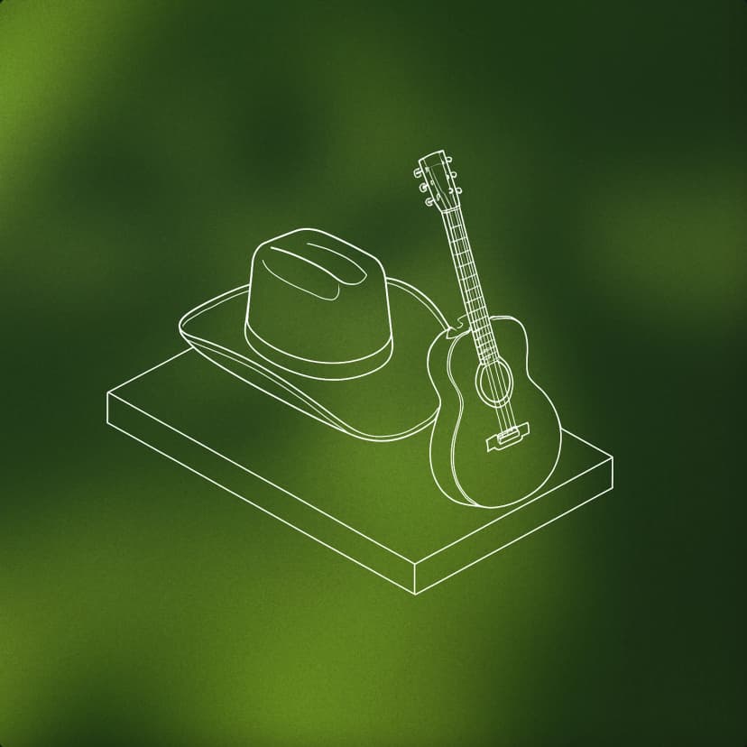 country music star
